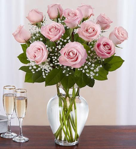 12 Premium Long Stem Pink Roses