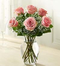 Love&#039;s Embrace&trade; Roses - Pink